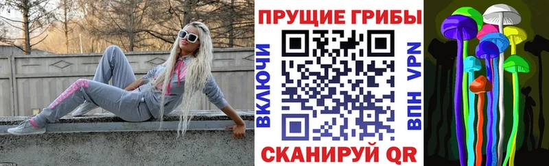 Псилоцибиновые грибы ЛСД МЕГА как войти Ишимбай